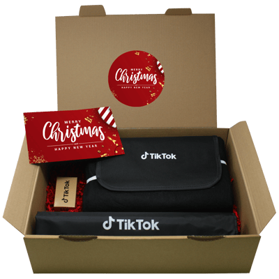 tik tok christmas box_