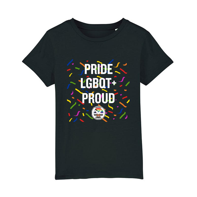 Swansea Pride Confetti
